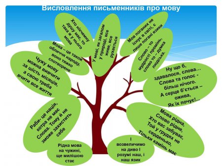 Барви рідного слова та стежки Кобзаря Барви рідного слова та стежки Кобзаря